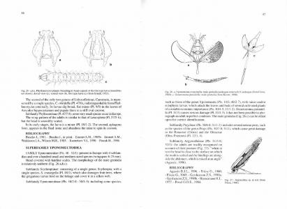 A Guide to the Microlepidoptera of Europe