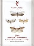 Fjärilar: Bronsmaler - rulvingemaler
